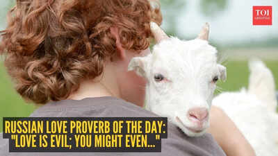 Russian love proverb of the day:  "Love is evil; you might even..."