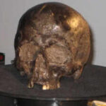 Scientists found a 2,600-year-old brain inside an Iron Age skull and it was still intact