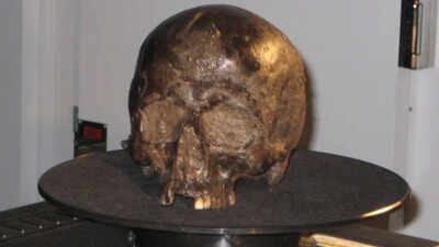 Scientists found a 2,600-year-old brain inside an Iron Age skull and it was still intact