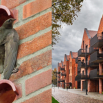 Scotland changed its buildings forever to save disappearing birds: Tiny 'swift bricks' will now be built into new homes