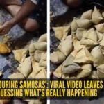 Viral Video Samosas: ‘They’re colouring samosas’: Viral video leaves internet guessing what’s really happening