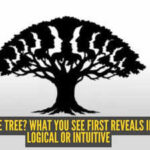 Optical illusion personality test: Faces or the tree? What you see first reveals if you are logical or intuitive |