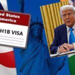 US judge kills Trump's $100,000 H-1B fee: What happens next for Indian professionals?