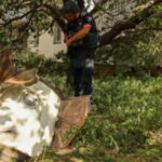 UAE condemns Iranian attacks on Bahrain, Kuwait; reiterates full solidarity with Gulf neighbours