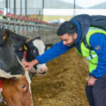 UK farms set to trial fertiliser invented by two PIOs