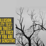 Optical illusion personality test: Woman or trees? What you see first reveals if you are creative or sensitive |