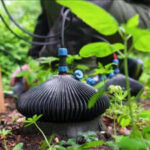 Your garden could become a power station: How a UK startup is generating electricity from soil bacteria