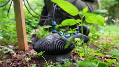 Your garden could become a power station: How a UK startup is generating electricity from soil bacteria