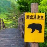 A Japan mountain trail reopened after a fatal bear attack. Hours later, another brown bear stranded four hikers