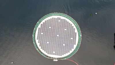 How floating solar panels created a new home for thousands of salmon at a Chile fish farm