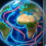 Earth has regulated its climate for 60 million years through a hidden ocean feedback; the key was sea level and one essential nutrient
