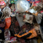 A landlord company managing 300 rental homes has been fined £42,500 after paramedics found tenants sleeping on floors surrounded by dead rats and human waste