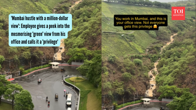 'Mumbai hustle with a million-dollar view': Employee gives a peek into the mesmerising 'green' view from his office and calls it a 'privilege'
