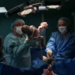 Indian scientists recreate key functions of human Placenta on chip