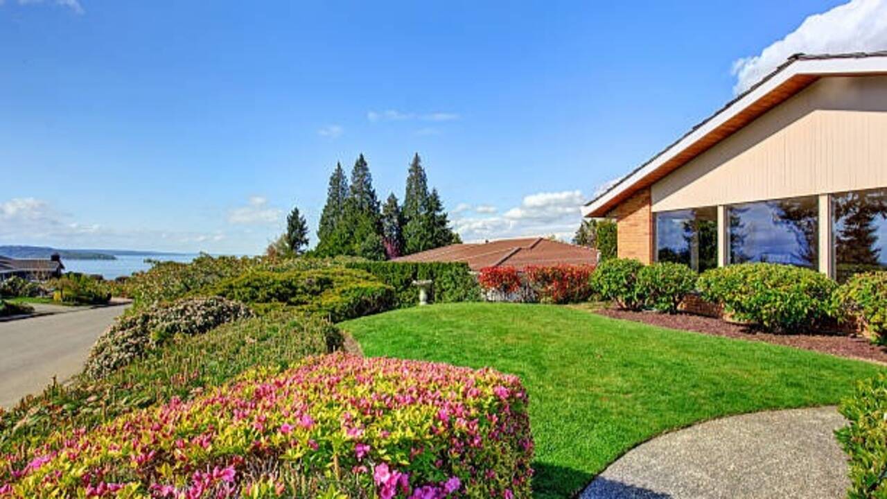 8 Smart landscaping ideas to keep your yard looking beautiful all year round