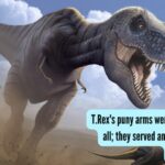 T.Rex's puny arms were not useless at all; they served an unexpected and brutal purpose