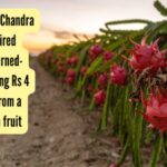 Meet Pratap Chandra Roul: The retired Army man-turned-farmer earning Rs 4 lakh a year from a small dragon fruit farm