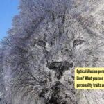 Optical illusion personality test: Frost tree or Lion? What you see first tells your hidden personality traits and how you are as a person |
