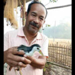 Meet Bharat Borah, from Assam's 'Hornbill Village' who has been saving injured birds and animals by building artificial legs for them for 30 years; his house is now an unofficial rescue centre