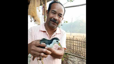 Meet Bharat Borah, from Assam's 'Hornbill Village' who has been saving injured birds and animals by building artificial legs for them for 30 years; his house is now an unofficial rescue centre