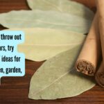 Bay leaves, cinnamon, and cloves: DIY organic room freshener you can make with 3 ingredients found in every Indian kitchen |