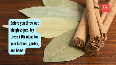 Bay leaves, cinnamon, and cloves: DIY organic room freshener you can make with 3 ingredients found in every Indian kitchen |