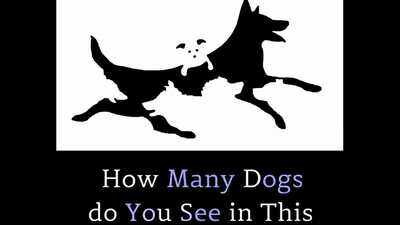 Optical illusion challenge: Can you count all the hidden dogs? only sharp-eyed observers get it right |