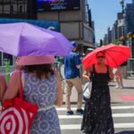 'France, Belgium & The Netherlands saw 3,700 excess deaths in heatwave'