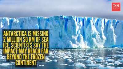 Antarctica is missing 2 million sq km of sea ice, scientists say the impact may reach far beyond the frozen continent