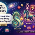 Weekly Chinese Horoscope 6–12 July 2026: These Animal Zodiac Signs May Get Luck, Money, and Love