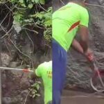 Courtallam Falls Snake Incident: Snake scare at Courtallam falls leaves tourists stunned, visitors seen running around pushing each other as snake slithers nearby; rescue video goes viral