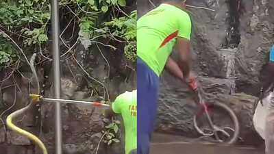 Courtallam Falls Snake Incident: Snake scare at Courtallam falls leaves tourists stunned, visitors seen running around pushing each other as snake slithers nearby; rescue video goes viral