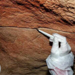 For the first time, scientists have recovered ancient DNA left behind on cave walls and rock art, opening a new way to study the people who made prehistoric art thousands of years ago