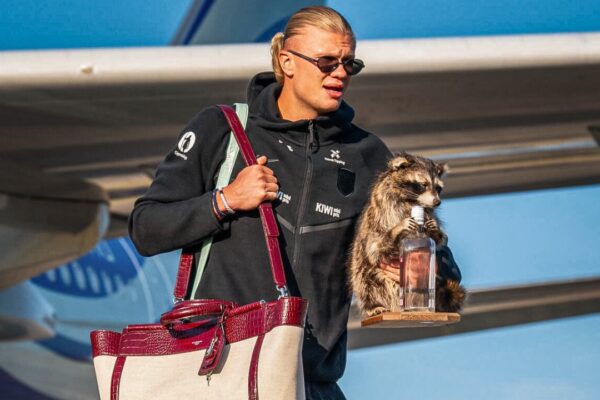 Watch: Erling Haaland arrives home carrying a 'Raccoon', breaks silence on viral companion | Football News