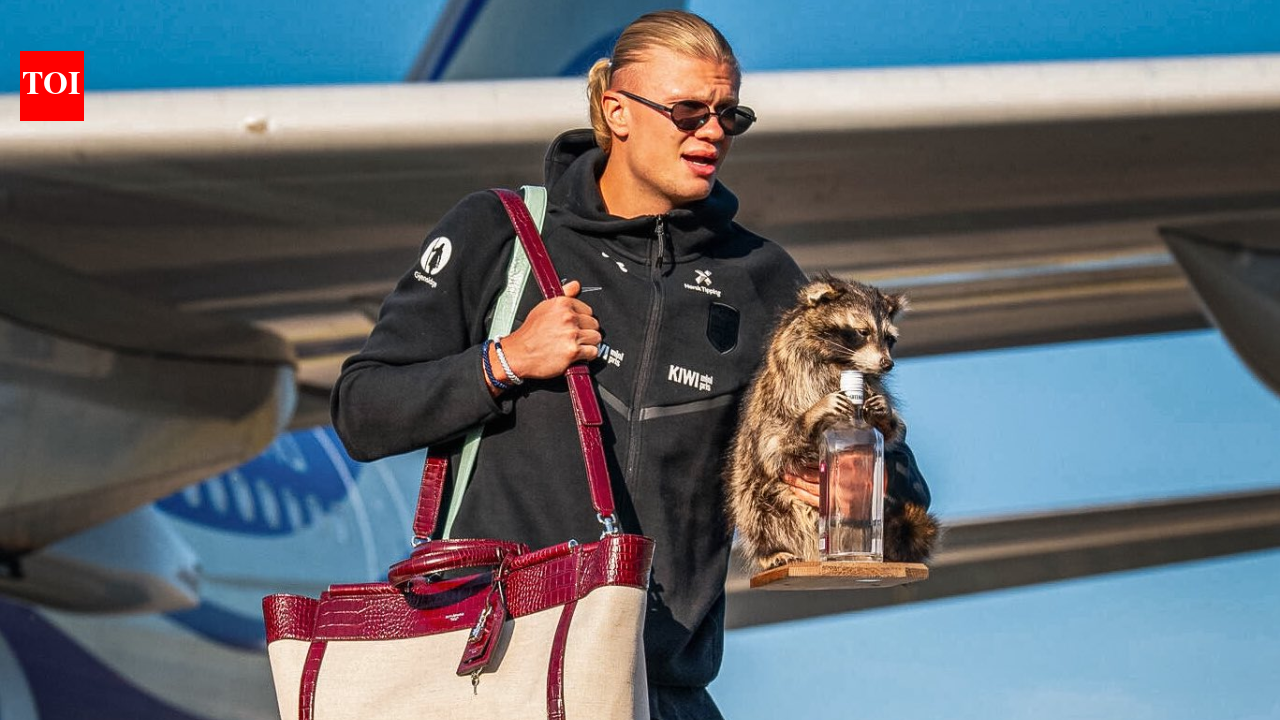 Watch: Erling Haaland arrives home carrying a 'Raccoon', breaks silence on viral companion | Football News