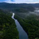 Rising heat leaves 57 million hectares of tropical forests unable to photosynthesise efficiently: Study |