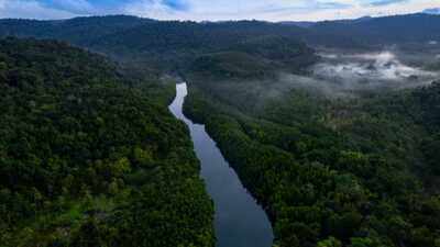 Rising heat leaves 57 million hectares of tropical forests unable to photosynthesise efficiently: Study |