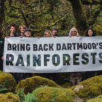 Prince William’s Duchy of Cornwall is helping double one of England’s last surviving temperate rainforests, where 1,250 young trees have already been planted