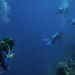 Most scuba divers believed they rarely touched reefs; underwater observers found more than 40% of contacts caused visible damage