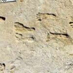 23,000-year-old footprints in White Sands are rewriting the story of the first humans in the Americas