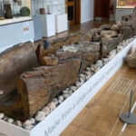 How a 3,400-year-old Bronze Age log boat helped archaeologists uncover thousands of years of life along the River Trent