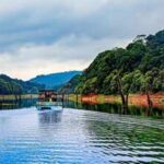 5 lakes with underwater forests: From Clear Lake to Caddo Lake