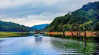 5 lakes with underwater forests: From Clear Lake to Caddo Lake