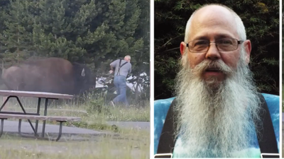 65-year-old grandfather attacked by a Yellowstone bison was cracking jokes despite breaking multiple bones