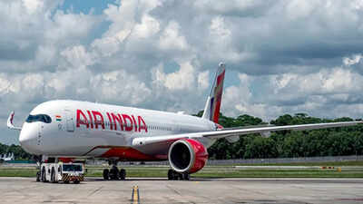 'Transformation of Air India may take up to a decade'