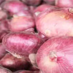 Centre raises onion procurement price by 13% — here's why