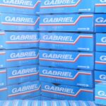 Gabriel acquires promoter stake in JV, family holding up at 68%