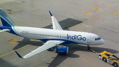 IndiGo opposes more say for airport operators in airlines