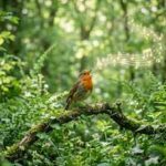 A Cambridge study shows that just 10 minutes surrounded by trees and birdsong can significantly improve mood and psychological well-being