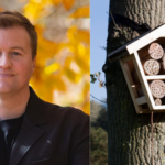A scientist built 200 hotels for bees. Three years later, the guests he found changed what we know about pollinators and biodiversity